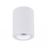 Точечный накладной светильник Arte Lamp A2267PL-1WH IMAI