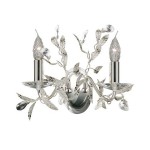 Светильник бра Arte Lamp A2272AP-2SI ROSIE