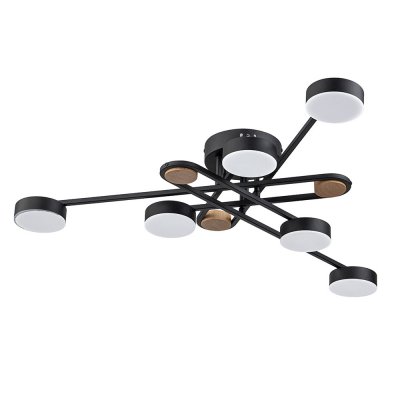 СВЕТИЛЬНИК ПОТОЛОЧНЫЙ Arte Lamp A2455PL-6BK TAYGETA