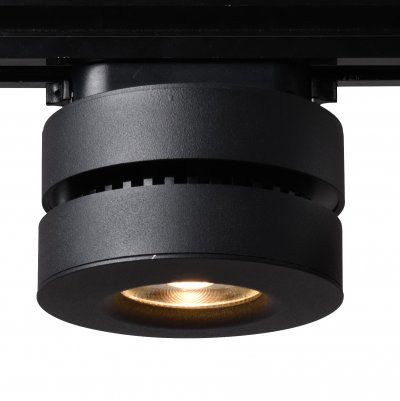 

Светильник Arte Lamp A2508PL-1BK