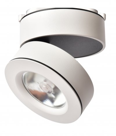 

Светильник Arte Lamp A2511PL-1WH