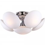 Потолочная люстра Arte lamp A2550PL-6CC Soffione