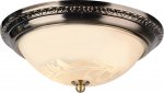 Светильник потолочный Arte lamp A3009PL-2AB ALTA