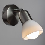 Светильник поворотный Arte lamp A3115AP-1SS FALENA