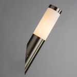 Светильник уличный настенный Arte lamp A3157AL-1SS SALIRE