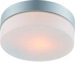 Светильник потолочный Arte lamp A3211PL-1SI AQUA