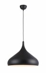 Подвесной светильник Arte lamp A3266SP-1BK Cappello