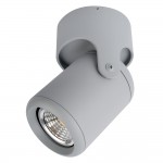 Светильник потолочный поворотный Arte lamp A3316PL-1GY LIBRA