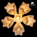 Светильник потолочный Arte lamp A3469PL-6CC CANZONE