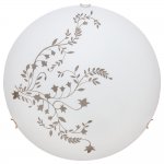 Светильник потолочный Arte lamp A3820PL-2CC Ornament