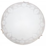Светильник потолочный Arte lamp A4020PL-1CC Leaves