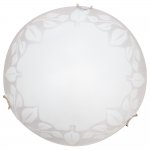 Светильник настенно-потолочный Arte lamp A4020PL-3CC Leaves