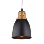 Светильник подвесной Arte lamp A4248SP-1BK EURICA