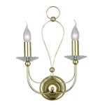 Светильник настенный Arte Lamp A4292AP-2PB Birdcage