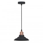 Светильник подвесной Arte Lamp A5067SP-1BK LIDO