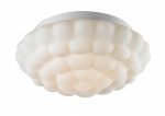 Потолочный светильник Arte lamp A5130PL-2WH Aqua