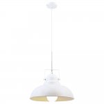 Светильник подвесной Arte lamp A5213SP-1WG MARTIN