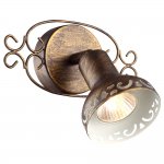 Светильник поворотный Arte lamp A5219AP-1BR FOCUS