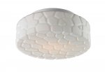 Потолочный светильник Arte lamp A5325PL-2WH Aqua