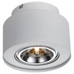 Светильник потолочный поворотный Arte lamp A5643PL-1WH CLIFF