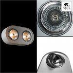 Светильник потолочный поворотный Arte lamp A5643PL-2WH CLIFF