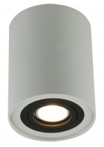 Светильник потолочный Arte lamp A5644PL-1WH FALCON