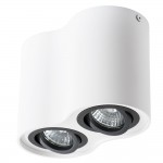 Светильник потолочный Arte lamp A5644PL-2WH FALCON