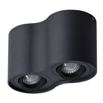 Светильник потолочный Arte lamp A5645PL-2BK FALCON