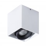 Светильник потолочный Arte lamp A5654PL-1WH PICTOR