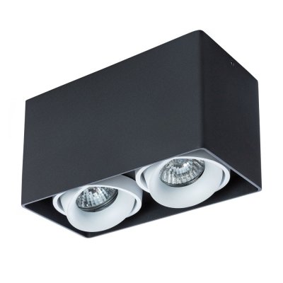 

Светильник потолочный Arte lamp A5654PL-2BK PICTOR, A5654PL-2BK