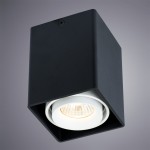 Светильник потолочный Arte lamp A5655PL-1BK PICTOR