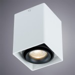 Светильник потолочный Arte lamp A5655PL-1WH PICTOR