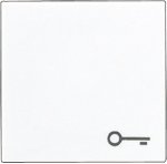 JUNG А 500 Бел Клавиша 1-я с символом КЛЮЧ (A590TWW)