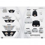 Светильник потолочный Arte lamp A5935PL-4WH CARDANI