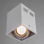 Светильник потолочный Arte lamp A5942PL-1WH CARDANI
