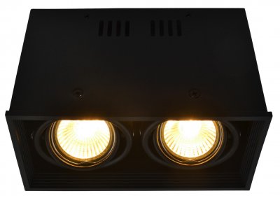 Светильник потолочный Arte lamp A5942PL-2BK CARDANI