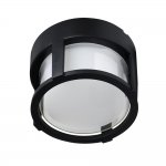 Уличные потолочные светильники Arte Lamp A6206PF-1BK ULYSSES