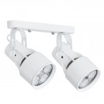 Светильник потолочный Arte lamp A6252PL-2WH LYRA