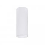 Точечный накладной светильник Arte Lamp A6450PL-1WH NET MINI