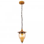 Светильник подвесной Arte lamp A6711SP-1BR CATENA
