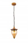 Светильник подвесной Arte lamp A6711SP-1BR CATENA