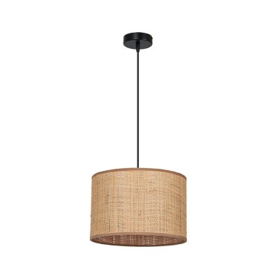 Arte Lamp A7090SP-1BK