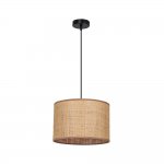 Arte Lamp A7090SP-1BK