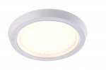 Светильник потолочный Arte lamp A7112PL-1WH DOWNLIGHTS LED