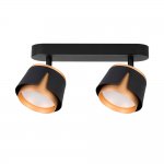 Накладной светильник спот Arte Lamp A8028PL-2BK AMAKS