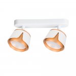 Накладной светильник спот Arte Lamp A8028PL-2WH AMAKS