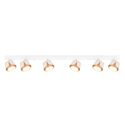 Накладной светильник спот Arte Lamp A8028PL-6WH AMAKS