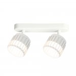 Накладной светильник спот Arte Lamp A8031PL-2WH ATRIA