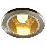 Светильник потолочный Arte lamp A8044PL-1SS DOWNLIGHTS