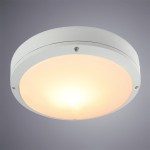 Светильник уличный Arte lamp A8154PF-2WH City